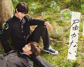 印度萝莉大叔海报剧照