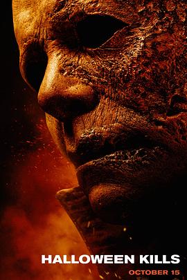 解码家庭摄像海报剧照